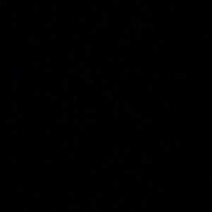 Meet your Posher, Gage